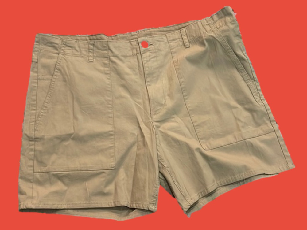 NWOT men’s Swiss Alps khaki shorts 42
